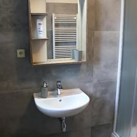 Maison d'hôtes Apartmany Lama Hradec nad Moravicí